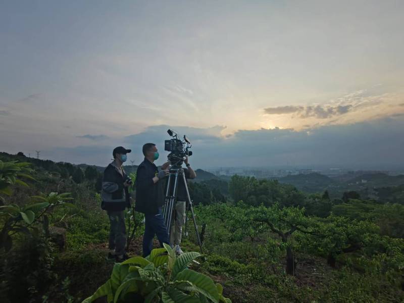 创意破圈！剑川县电商产品宣传视频用故事化叙事引爆流量