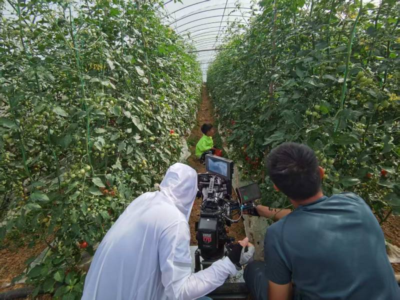 剑川县产品宣传视频拍摄公司进阶指南，助力品牌抢占传播高地